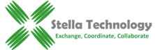 Stella Technology: Strategic Technology Solutions for Improved Patient Provider Collaboration