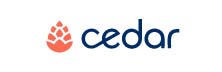 Cedar: Delivering a Seamless Healthcare Financial Engagement Experience