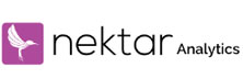 Nektar Analytics: Revolutionizing How You Identify Audit Risk
