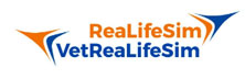 ReaLifeSim, LLC: Train the Way You Treat
