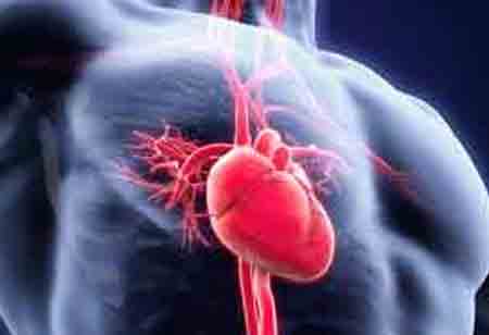 Bolstering The Structural Heart Paradigm