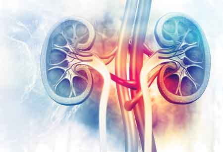 Case Study of Applied Informaticsin Nephrology Practice